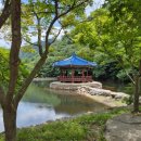 [울산출발] 10월8일(목) 정읍 구절초꽃축제 · 무성서원 테마여행 이미지