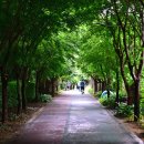 초록숲공원 이미지