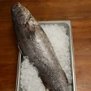 사계절지짐이 문화일보