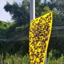 (주)마이크로자임 이미지