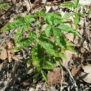 강산자연농장 이미지