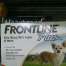 하일동물병원 이미지