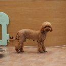 큰사랑유치원 이미지