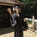 영천시 생활자원회수센터 | 6월 일상: 너무 별게 없어서 민망하지만