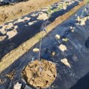 효원목장 이미지