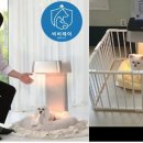 레이바이오 이미지