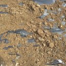 로타리슈퍼 이미지