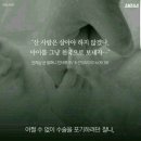 사람사는세상 이미지