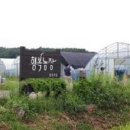 행복농장 이미지