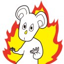 무지개사 이미지