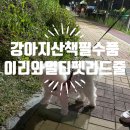 아르밤 펫 | 강아지산책필수템 야간에 꼭 필요한 안전용품 오아 이리와 멀티펫 리드줄 내돈내산 후기