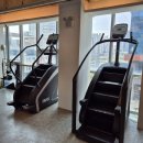 매드볼릭 이미지