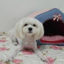 쭌이하우스 이미지