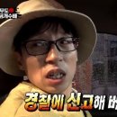 코코핑크 이미지