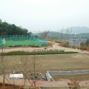 남동98 Daum카페