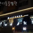 스칸디동물병원 이미지