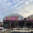 호수농원 | 청주, 오창 화원 후기 / 대형 화초 종류 많고 사장님 친절한 호수꽃농원