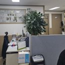 형사 가사 전문 법무법인 이루 최정현 대표변호사 인천사무소에서의 민사법률 상담 후기