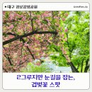 길목다방 - 구미시 강동로 171-2 | 대구겹벚꽃 스팟 그리고 레트로 찐 다방 방문후기(26년 4월 17일)