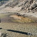 기승농장 이미지