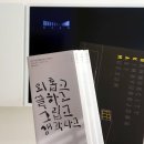 신진주단