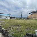 제주 행정사 사무소 이미지