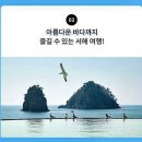 얼리버드