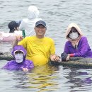 제주 예래 논짓물 자연 풀장에서 더위를 물리쳤다 ㅎ 이미지