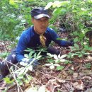 산약초이야기 - 포항시 남구 | 산약초이야기