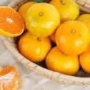 땡큐베리팜 이미지