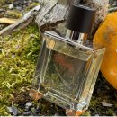 Terre d Hermes Eau Givree Parfum 향수 이미지
