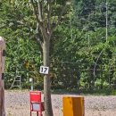 돌고래오토캠핑장 이미지