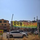 꽃마름샤브샤브 | 청주 가경동 맛집 꽃마름 샤브샤브 무한리필 후기