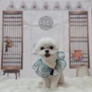럽독 네이버블로그