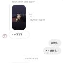 윤솔