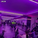 고앤고짐 이미지