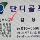 단디스크린골프 네이버블로그