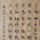 고방[5513]賀知章(하지장)-詠柳영류-버드나무를 노래함 이미지