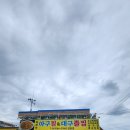 원조김경자대구왕뽈찜
