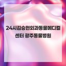 24시김승현외과동물메디컬센터 | 24시김승현외과동물메디컬센터 광주동물병원