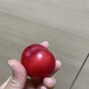 주간일기 챌린지 #2주차