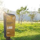 황산신발 이미지