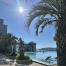 그곳에 호텔 | 여수 깔라까따 리조트 수영장 호텔 영스위트 객실 내돈내산 후기