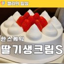 우주라이크 커피 미사강변점 | 하남 한스케이크 미사강변점 딸기생크림S 후기