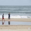 바람과노래 이미지