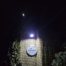 알로하스테이 이미지