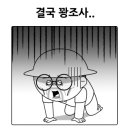 완도네시아 이미지