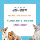 서초사랑약국 이미지