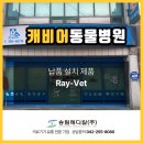 캐비어동물병원