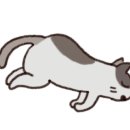 하노버승마장 이미지